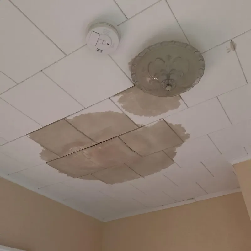 Ceiling Water Damage Repair in Corning, NY