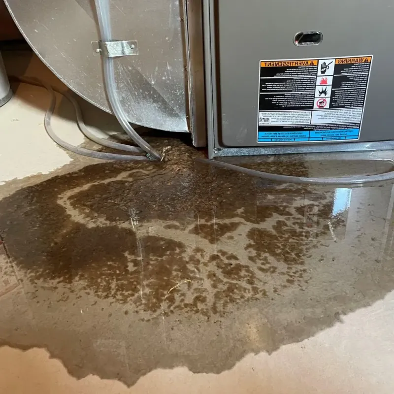 Pipe Burst and Leak Restoration in Corning, NY